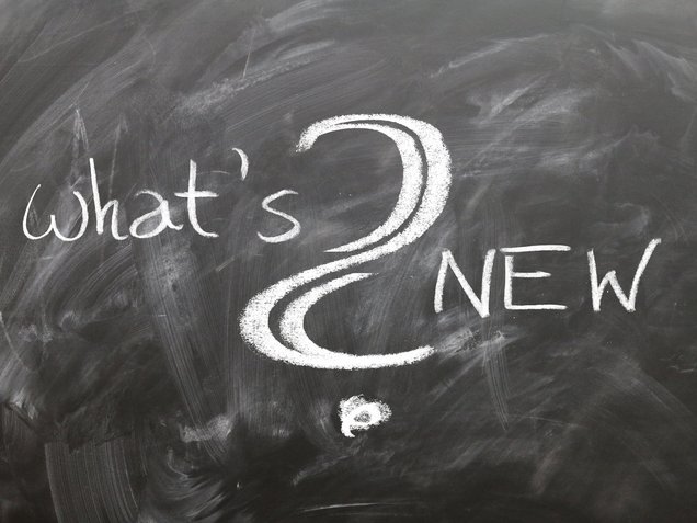 Schwarzes Tafel‑Schild mit weißer Schrift „what’s New?“ vor strukturierter Schiefer-Textur