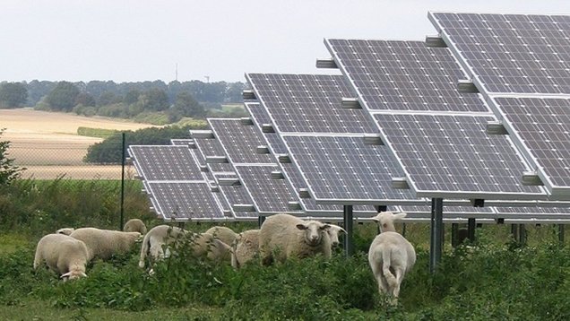 Freiflächensolaranlage auf einem grünen Feld mit weißen Schafen neben der Anlage